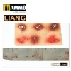 Liang 0005 Splashes Blood Effects Airbrush Stencils